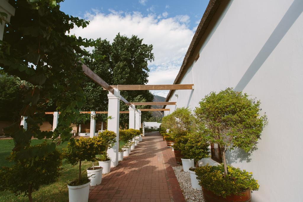 Leipzig Country House & Winery Nuy Extérieur photo